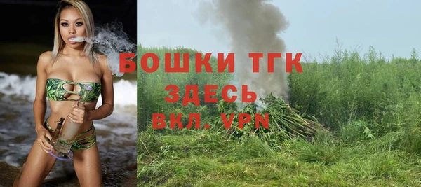 дмт Пересвет