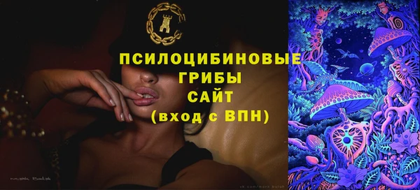 первитин Покачи