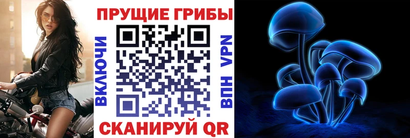 купить закладку  Солигалич  Галлюциногенные грибы Psilocybe 